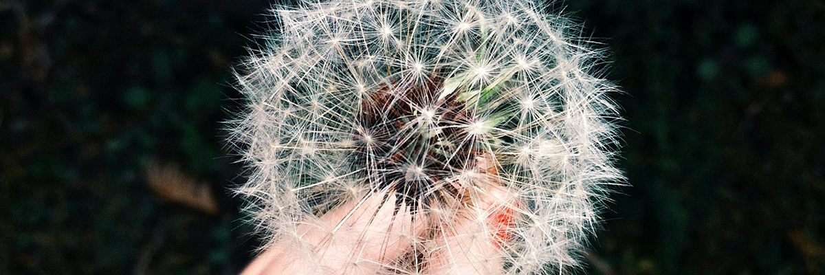 Лучшие таблетки от аллергии Лучшие таблетки от аллергии