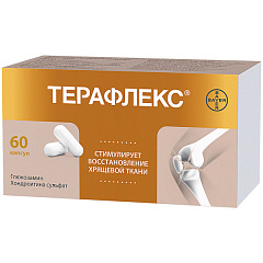  Терафлекс капс 500мг + 400мг N60 